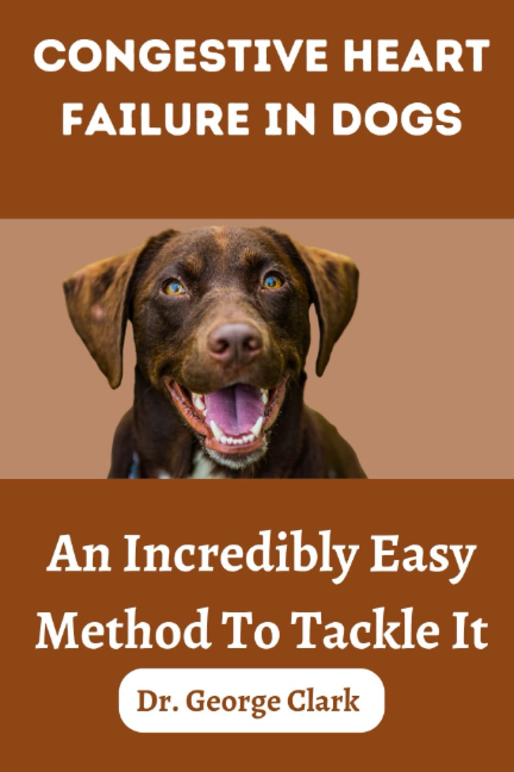Congestive Heart Failure in dogs: An incredibly easy method to tackle it (Dogs health, foods and tips)