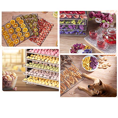 ZYFA Dörrgerät für Lebensmittel,Dörrautomat mit Temperaturregler, Fleisch Frucht Gemüsetrockner, Dehydrator, Kesser… – Bild 3