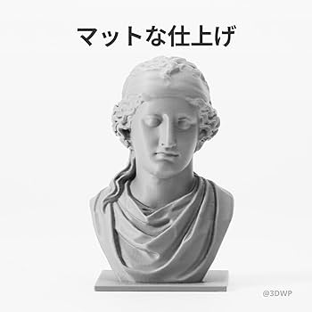 Amazon.co.jp: Bambu Lab マット PLA 3Dプリンター マット