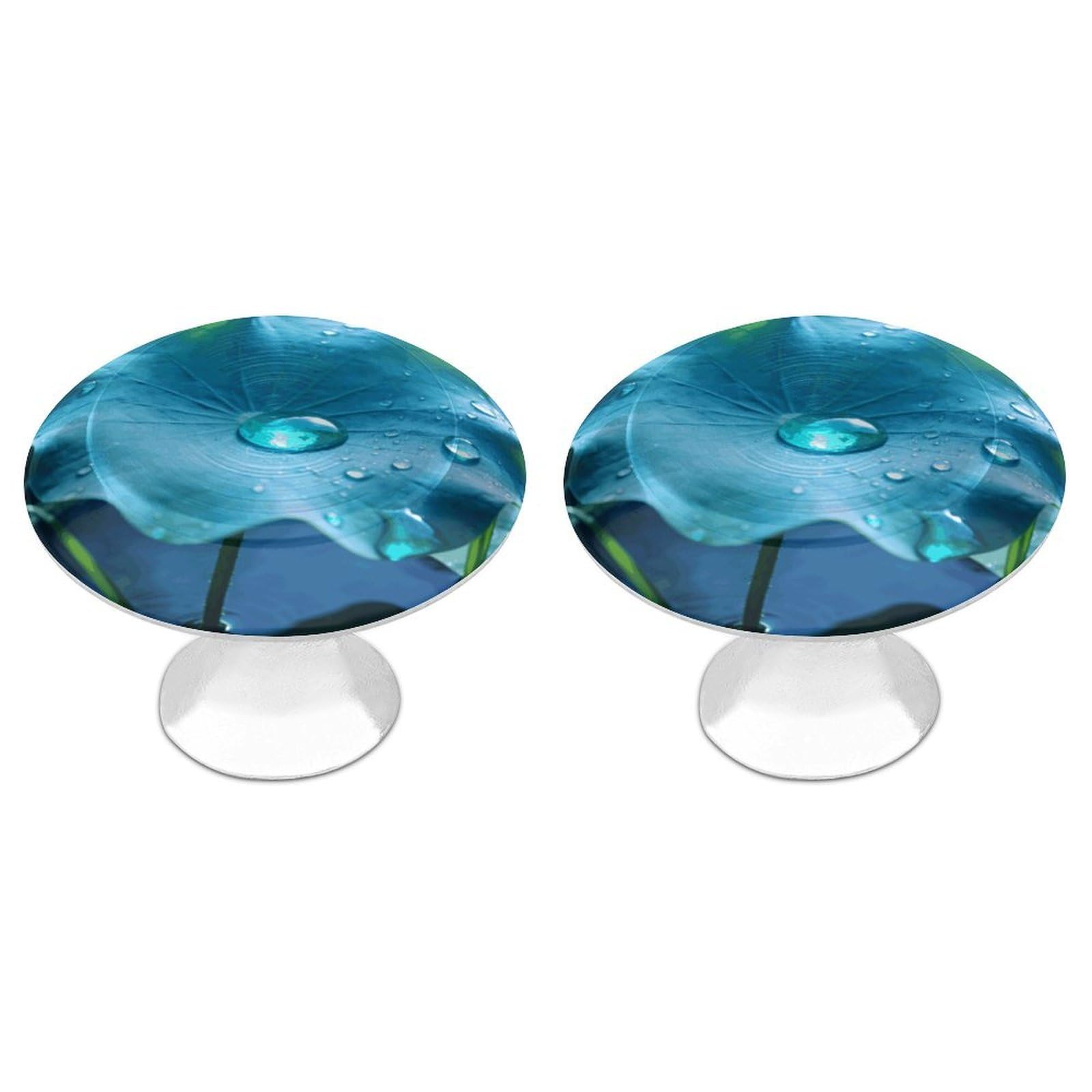 Vstadank Style Cyan Cabinet Knob 2 Pack Round Drawer Pull Kitchen Cabinet Hardware Stainless Steel Dresser Drawer Knob Simple Cabinet Pull For Dresser Closet Door Knobs Cupboard