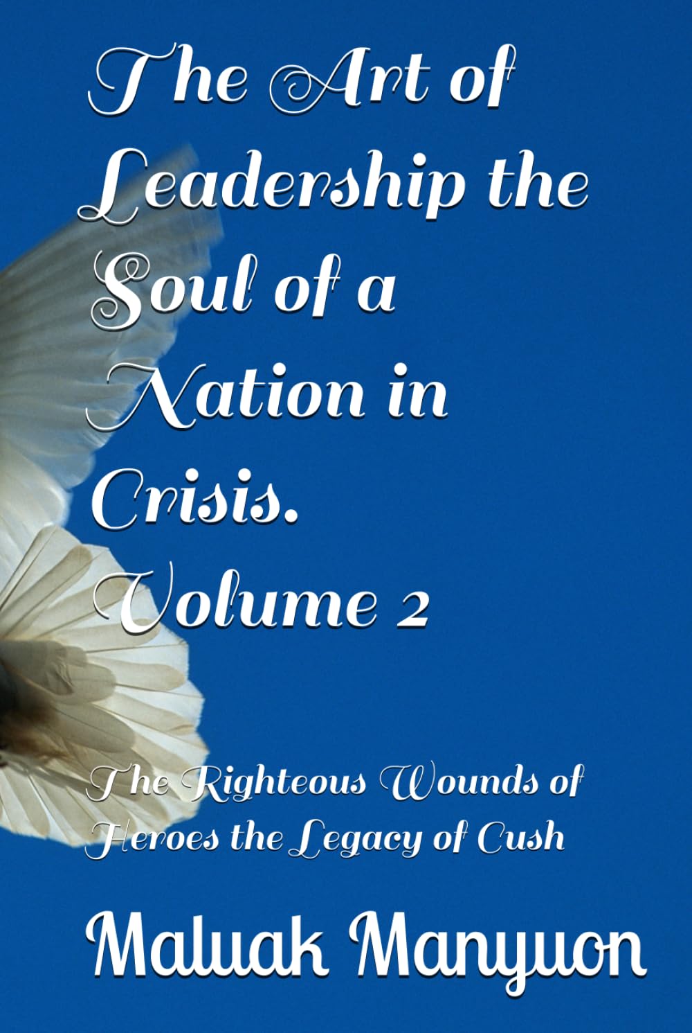 The Art of Leadership The Soul of a Nation in Crisis Volume 2: The Righteous Wounds of Heroes The Legacy of Cush