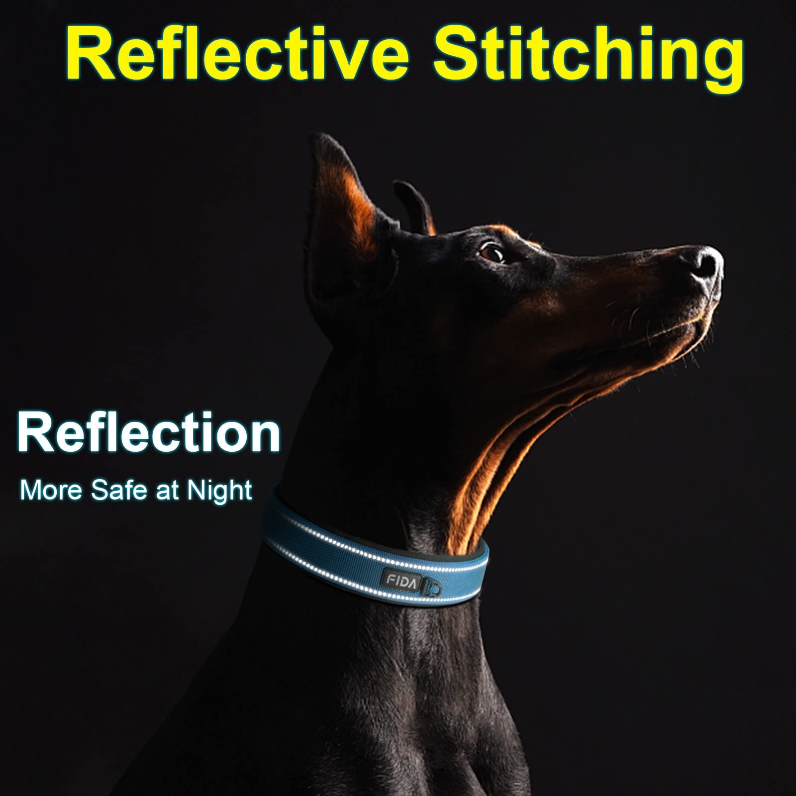 Fida Padded Dog Collar, Metal Belt Buckle Dog Collar with Double-Layer Webbing, Heavy Duty Collar for Small Dogs Blue - Image 4