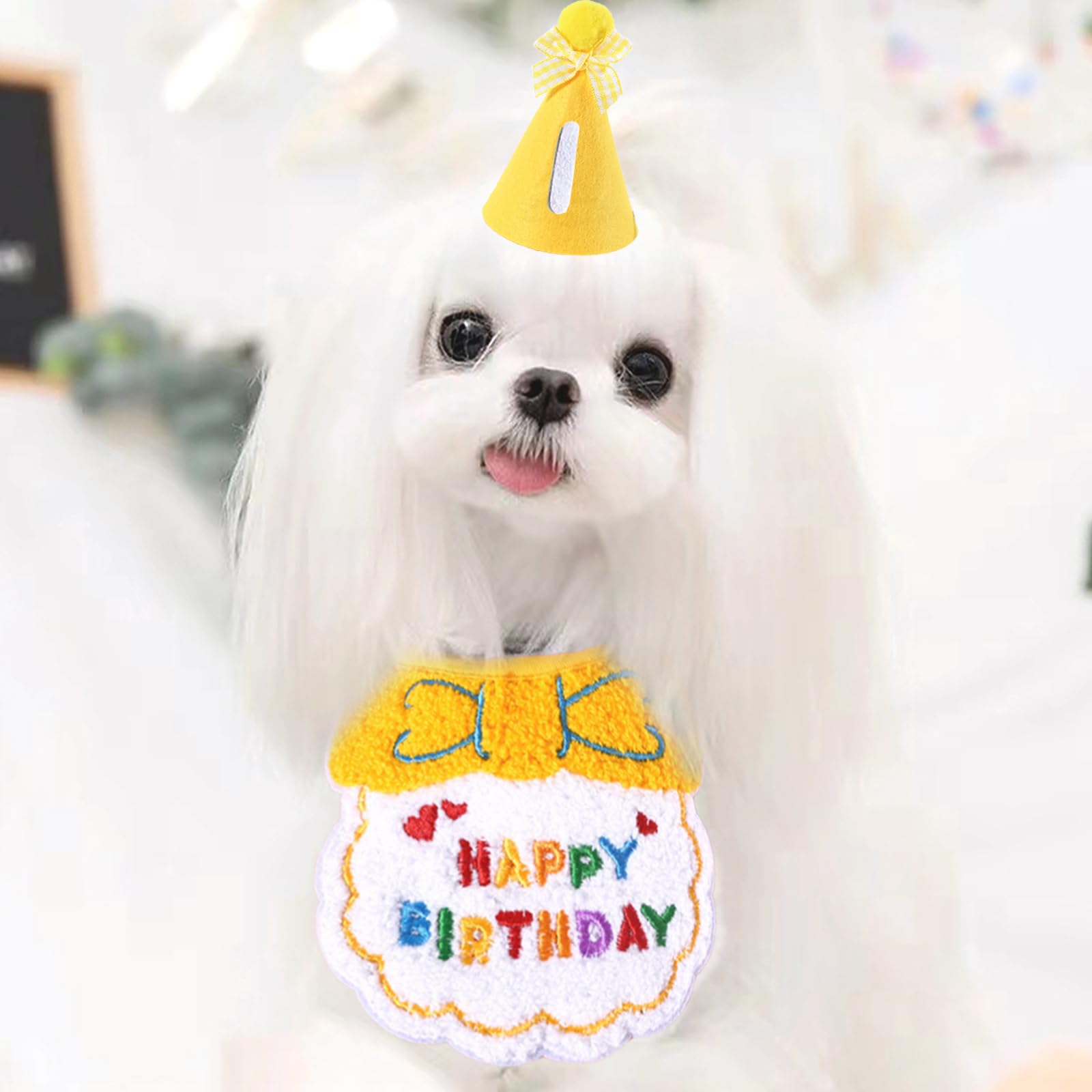 Amazon | 犬 誕生日 帽子 犬 猫用 誕生日グッズ 誕生日帽子 3点セット  