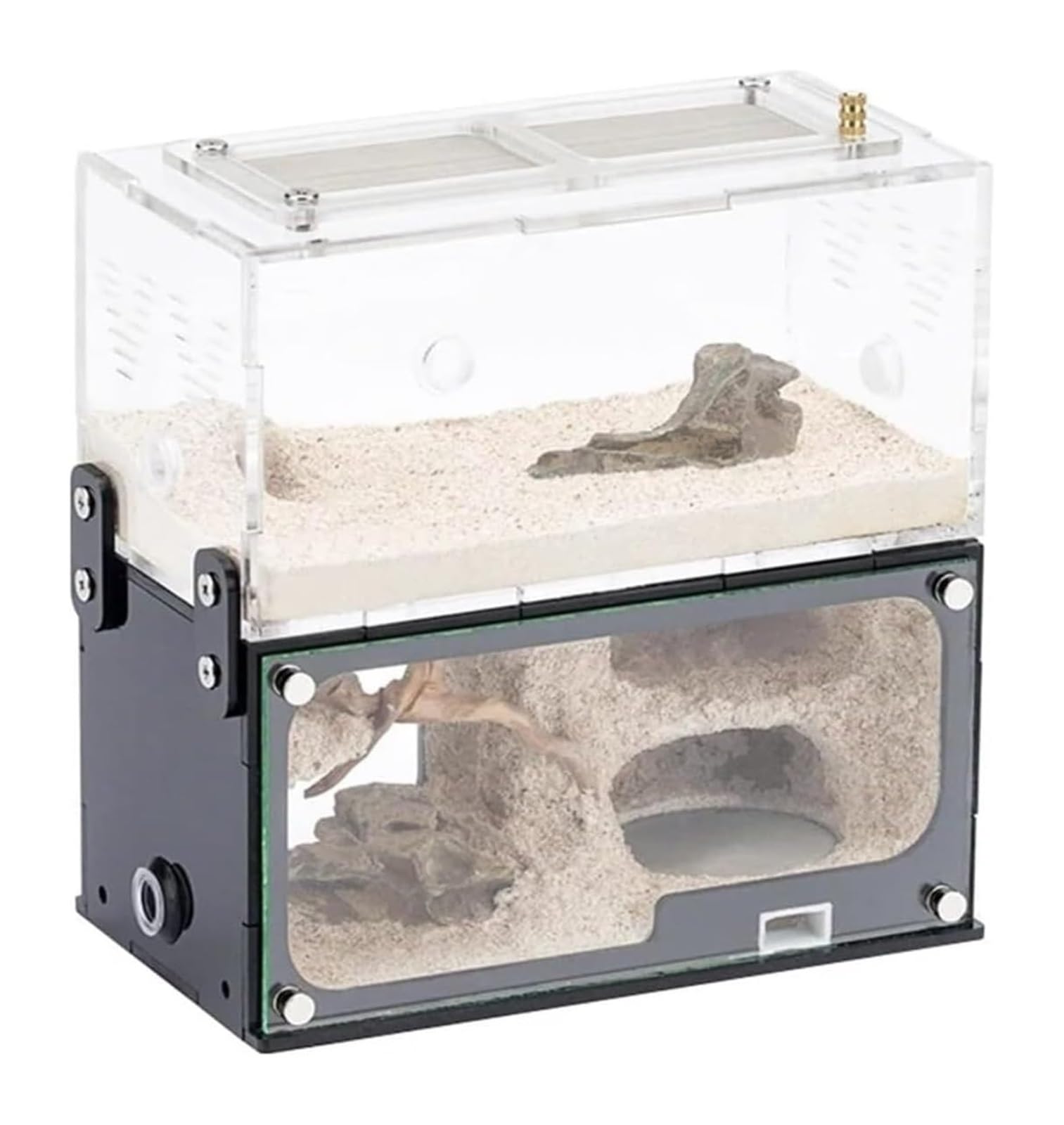 Formicario de Hormigas, Formicario De Hormiga Acrílico Transparente Ampliable con Torre Agua Y Puertos Observación 15 Cm