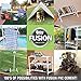 Oatey 32192 Fusion One-Step Self-Priming Medium-Bodied PVC Cement, 10 oz, Clear