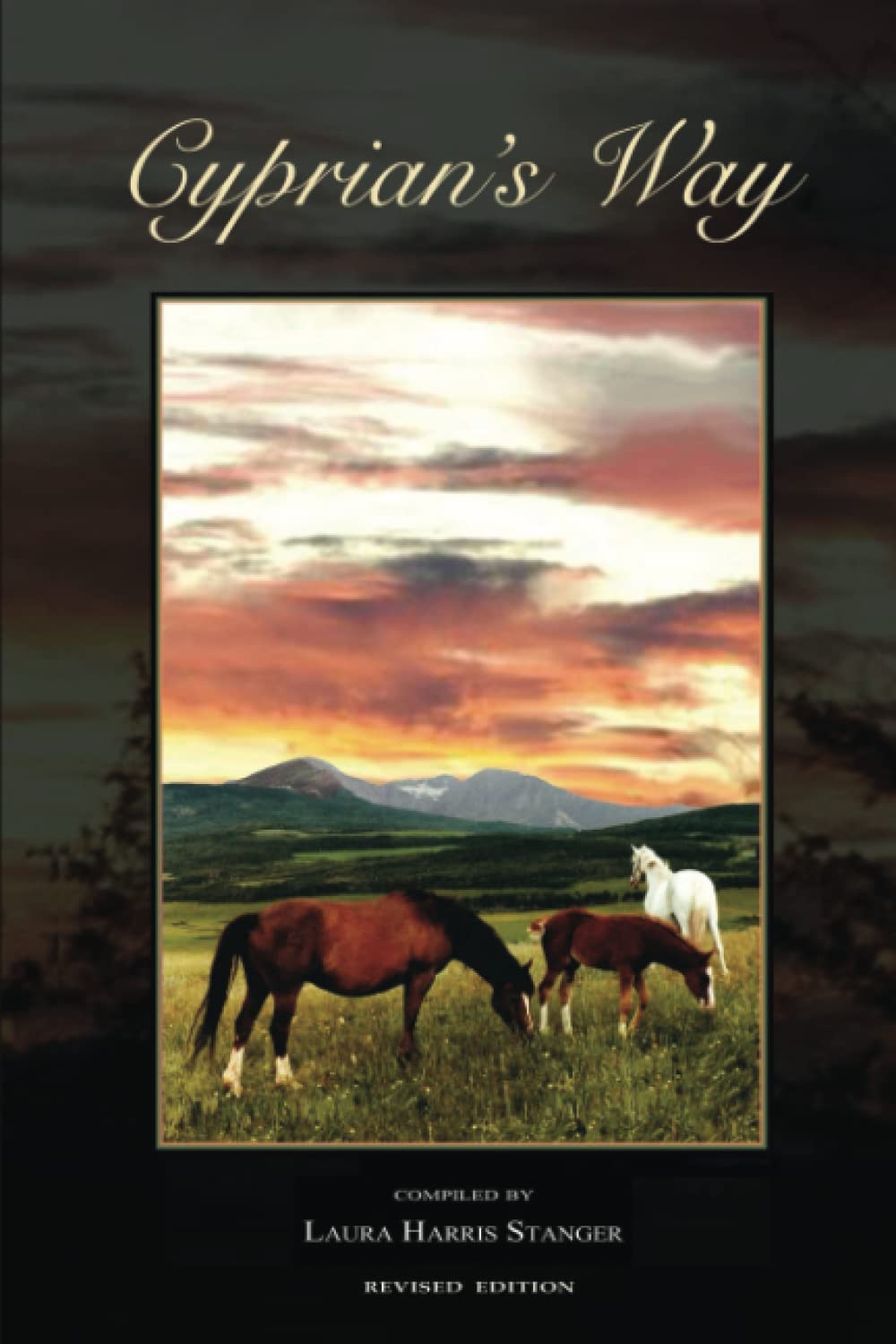 Cyprian's Way: Revised Edition