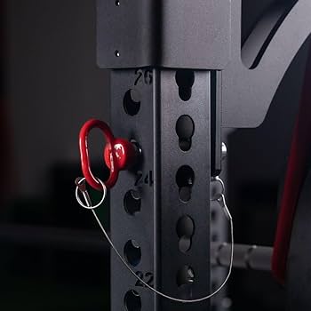 Amazon.co.jp: Titan Fitness モノリフトラックマウント