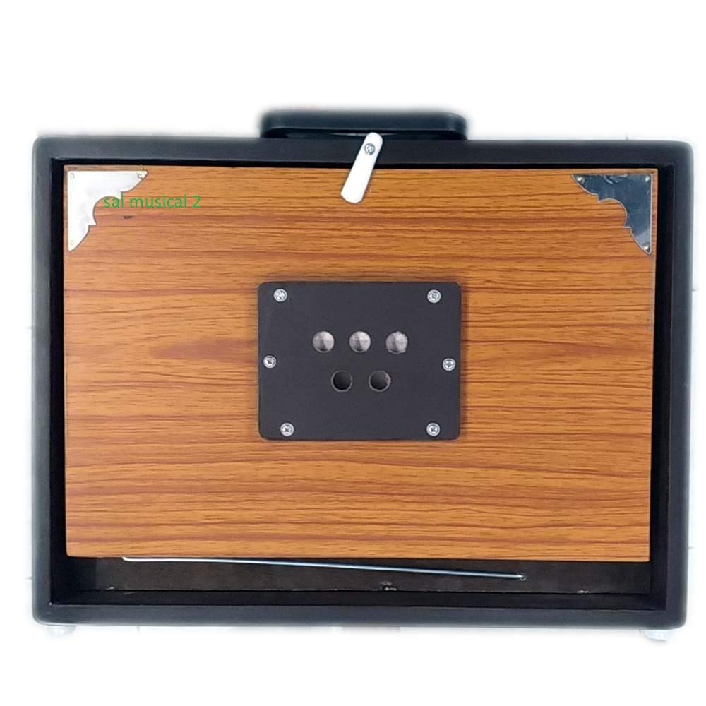 Riesiger Korb 1078 – Shruti Box groß 40,6 x 30,5 x 7,6 cm, Sur Peti Surpeti mit Etui, Naturfarbe, Musikinstrument