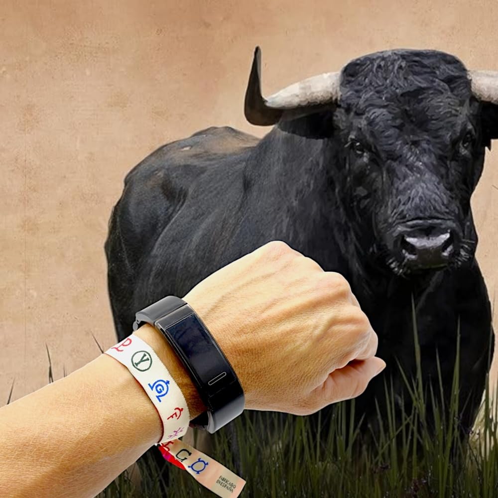 Historic Round Bullring For Bullfighting In Malaga, Spain. Aerial Top