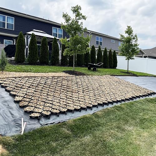 Equrectangular Grid Outside High-Performance Grid, 4 x 8 m Stabilizing Ground Grid for Outdoor Use ...