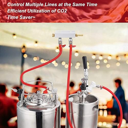 Miniatura 7 de FERRODAY Colector de gas de 2 vías, 5/16 pulgadas, válvulas de retención integradas de púas, distribuidor de CO2, apagado independiente,