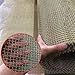 TIST Copper Mesh Sieve Copper Wire Mesh, Domestic Industrial Filter Mesh Copper Mesh Roll Shielded Copper Mesh Copper Mesh Rolls(Brass 150mesh)