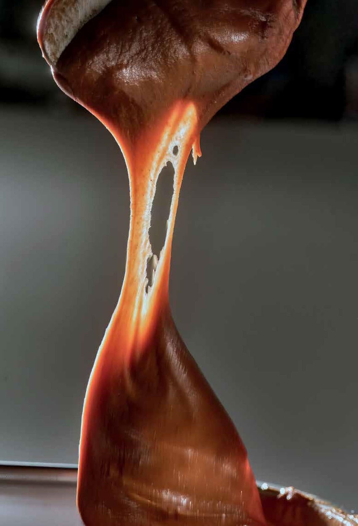 Il manuale del cioccolato. Tecnica, gestione, ricette. Guida pratica