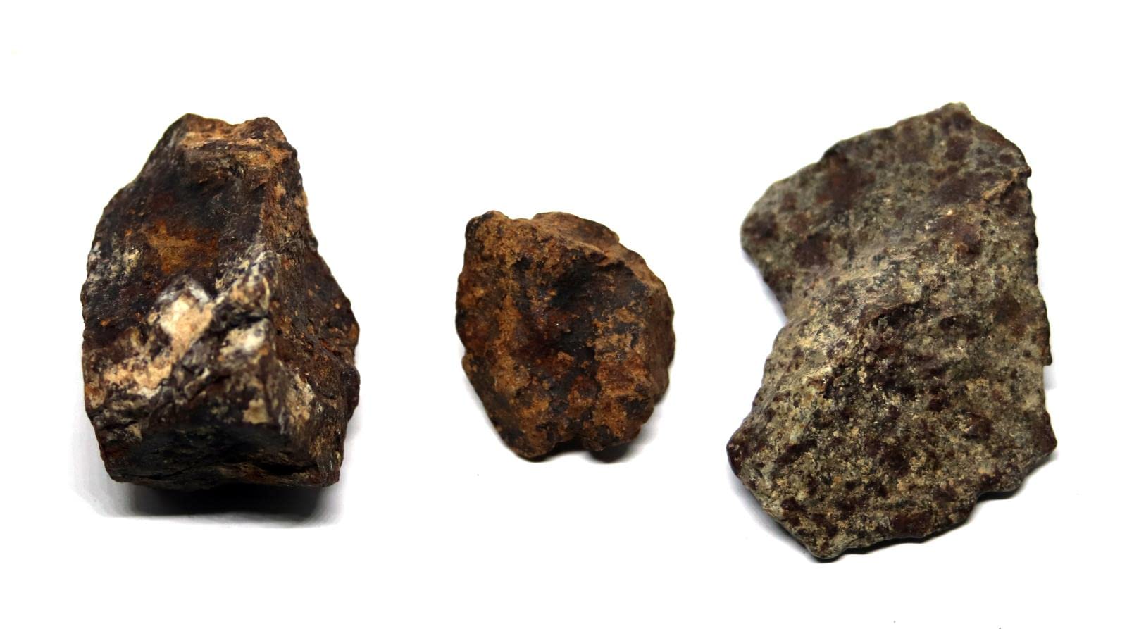 Chondrite Moroccoan Stony Meteorite Lot of 3 