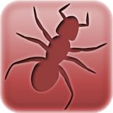 Digital Applications