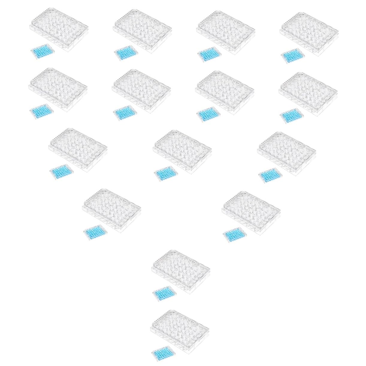Gatuida 15piezas Placa De Cultivo Celular De Pocillos Para Experimentos Laboratorio Fabricada Virgen Para Cultivos Celulares y Reducción De Evaporación