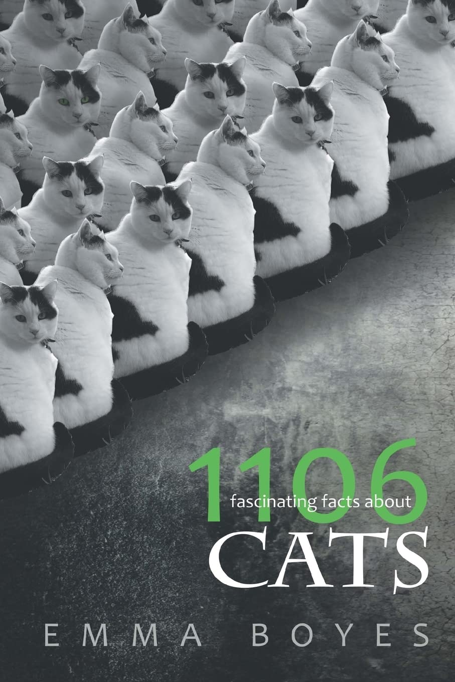 1106 Fascinating Facts About Cats