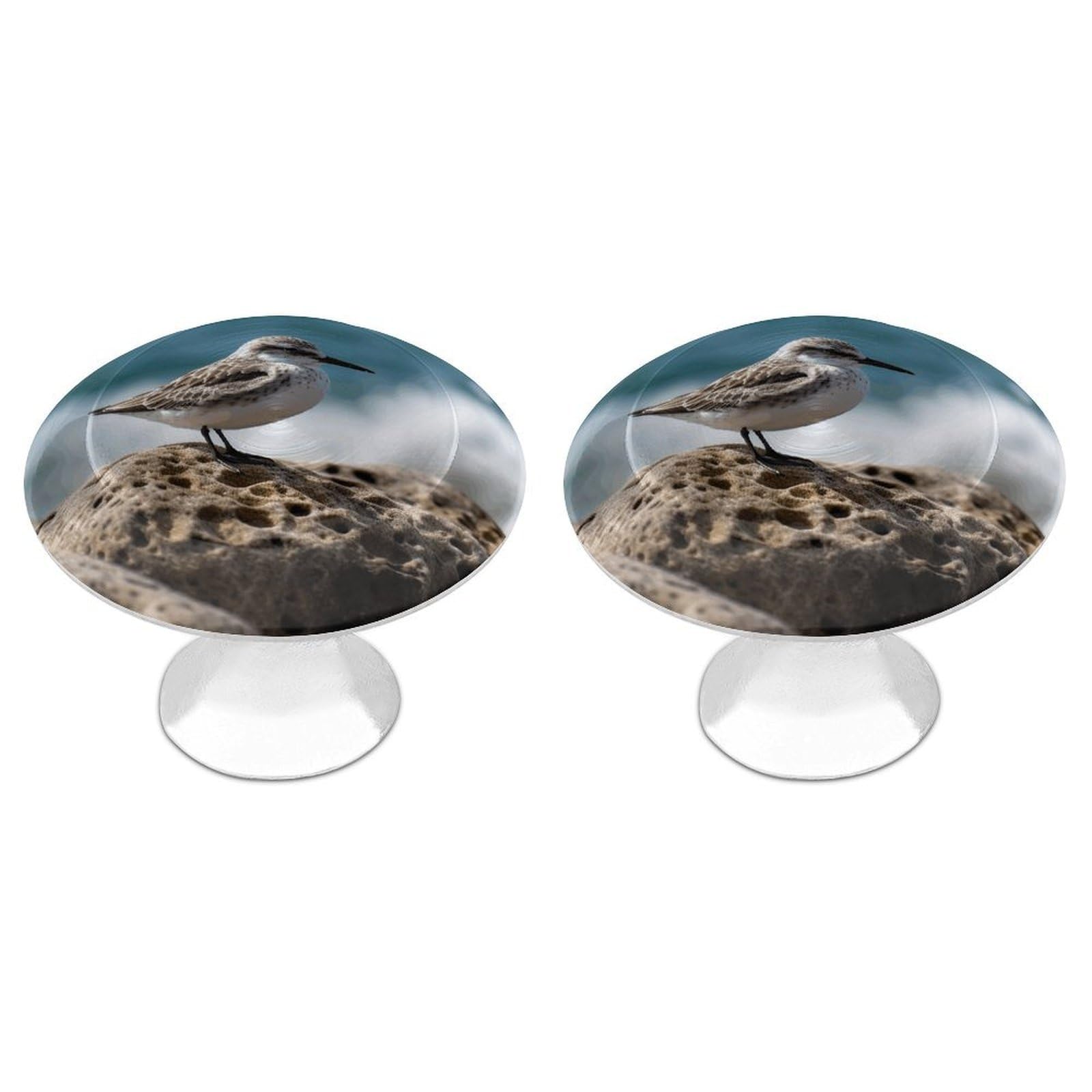 QMNLKH Bird Perching on The Rock Cabinet Knobs for Home, Round Drawer Pulls for Kitchen, Personalized Cupboard Handles with Screw, Fashion Dresser Knobs for Office, Drawer Handles, 2 Packs