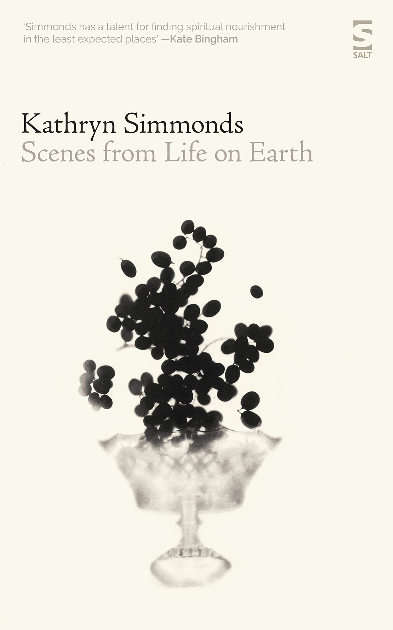 Scenes from Life on Earth by Kathryn Simmonds (Paperback Book)