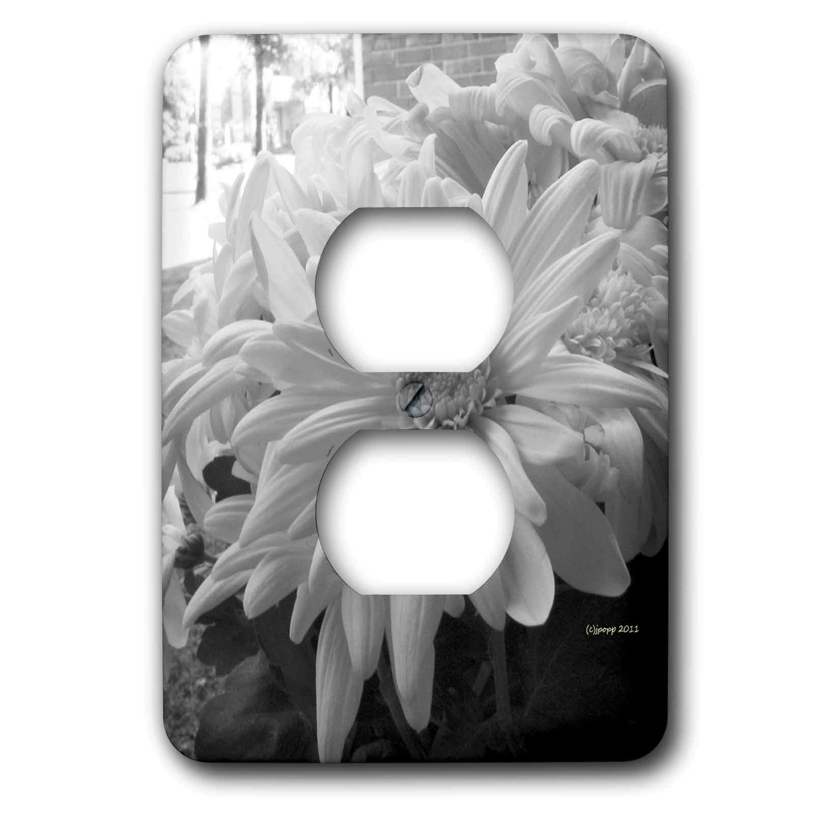 Daisies blanches Noir et Blanc plaque pour 2 prises dans votre salon monochrome