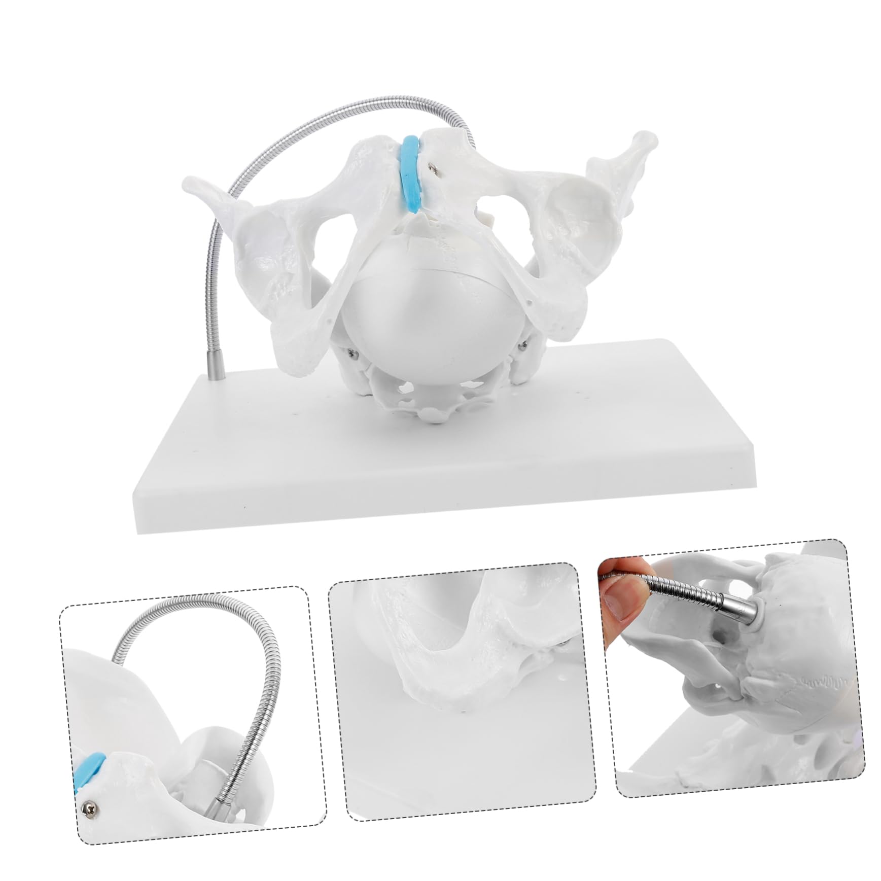 SOLUSTRE Midwifery Training Model Maternal Midwifery Teach Model Realistic Obstetric Simulation for Clinic