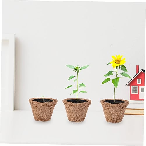 Miniatura 9 de Yardwe Maceta decorativa de fibra de coco, 20 unidades, maceta decorativa para macetas, flores, cuarto de bebé, maceta, maceta, alfombras,