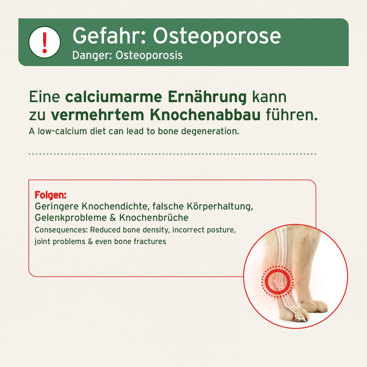 AniForte Os moulus de cheval pour chiens et chats 1 kg – Calcium naturel pour la construction osseuse et les articulations, farine d'os pure comme complément alimentaire et barf