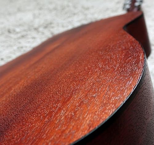 Cort AD300 - Back View