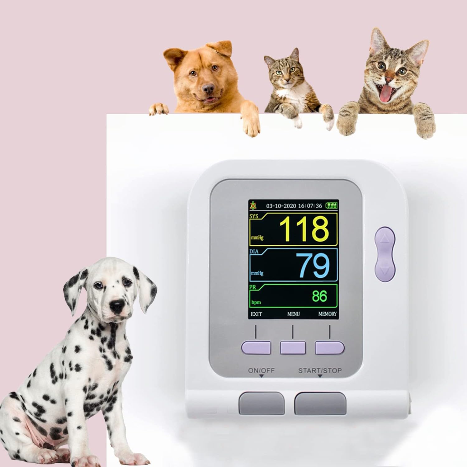 BLUEZY Monitor Presión Arterial Veterinaria, Veterinario/Animal Gato/Perro Monitor Electrónico Automático De Presión Arterial con 3 Puños Y 100 Juegos De Memoria Almacenada