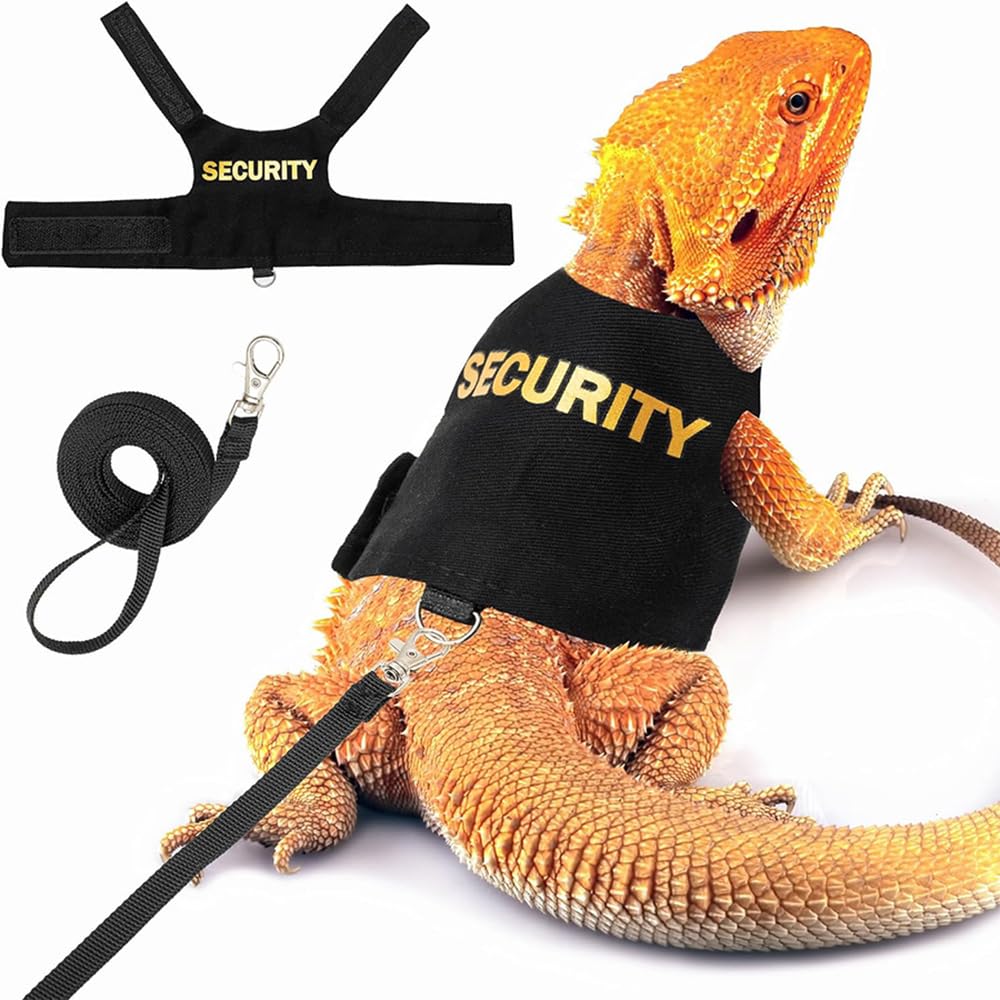 Harnais pour dragons barbus réglable pour reptiles lézards caméléons