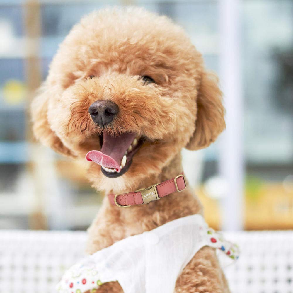 Collare per Cane in Pelle con Nome Personalizzato per Cucciolo, Fibbia per Ragazza Ragazzo con Incisione Personalizzata SL-Blue_L_ (36-55_cm)