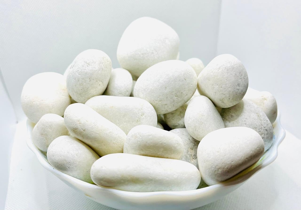 THE GUPTAS UNPLOLISHED Super Shiny PEBLLES Garden Plants DECORTIVE Pebbles Outdoor/Indoor(25-50MM) (18) (B0BLNS275Z) Amazon Price History, Amazon Price Tracker