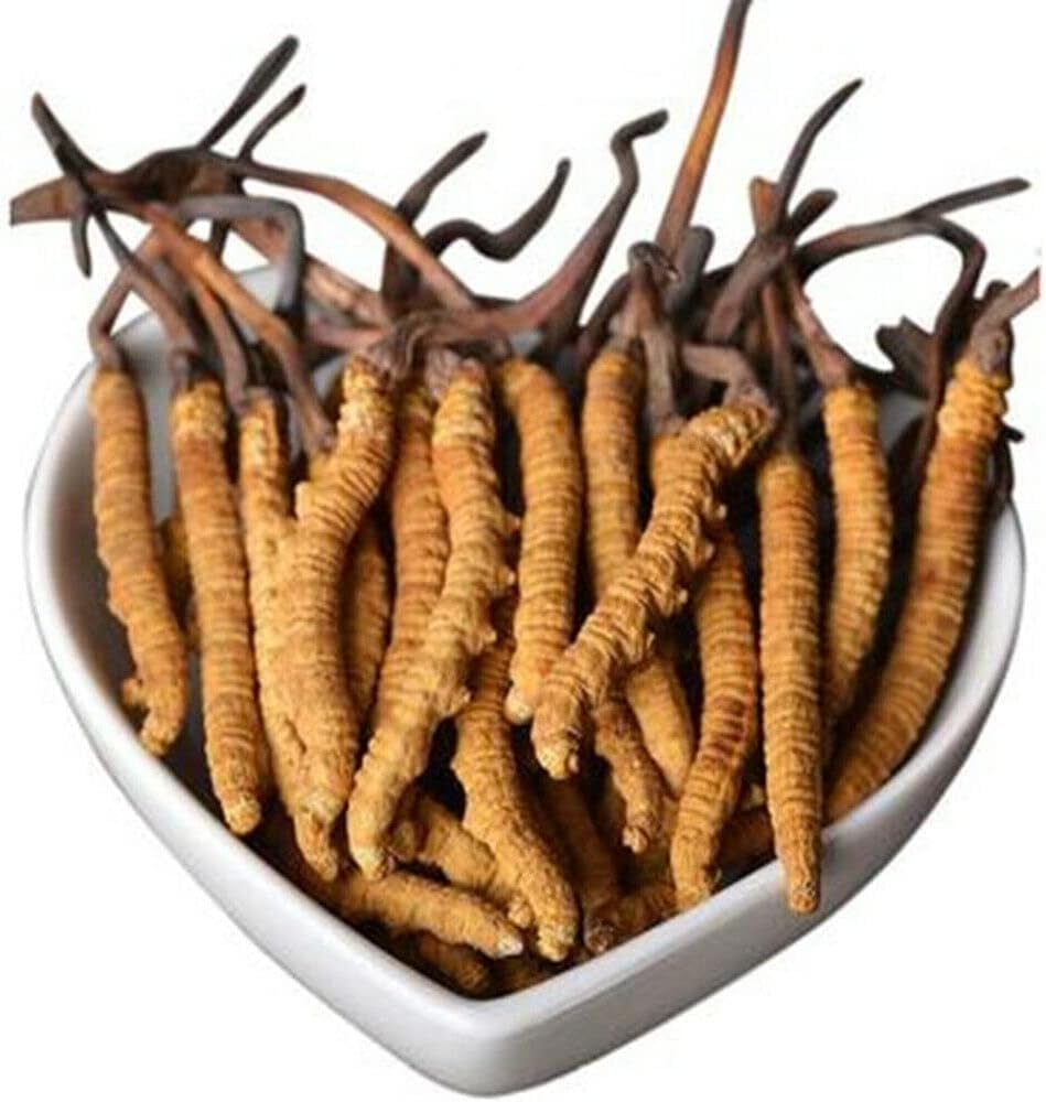 Wild Cordyceps, Whole Himalyan Cordyceps Sinensis Mushroom, Yarsha Gumba Genuine and Very Rare, High Grade, Boost Energy, Reduce Stress for Men and Women, 5g (13-17pic) from Lamjung Nepal Keeda Jadi