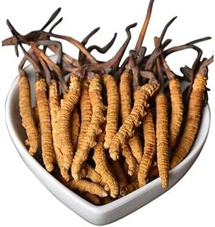 Wild Cordyceps, Whole Himalyan Cordyceps Sinensis Mushroom, Yarsha Gumba Genuine and Very Rare, High Grade, Boost Energy, Reduce Stress for Men and Women, 5g (13-17pic) from Lamjung Nepal Keeda Jadi