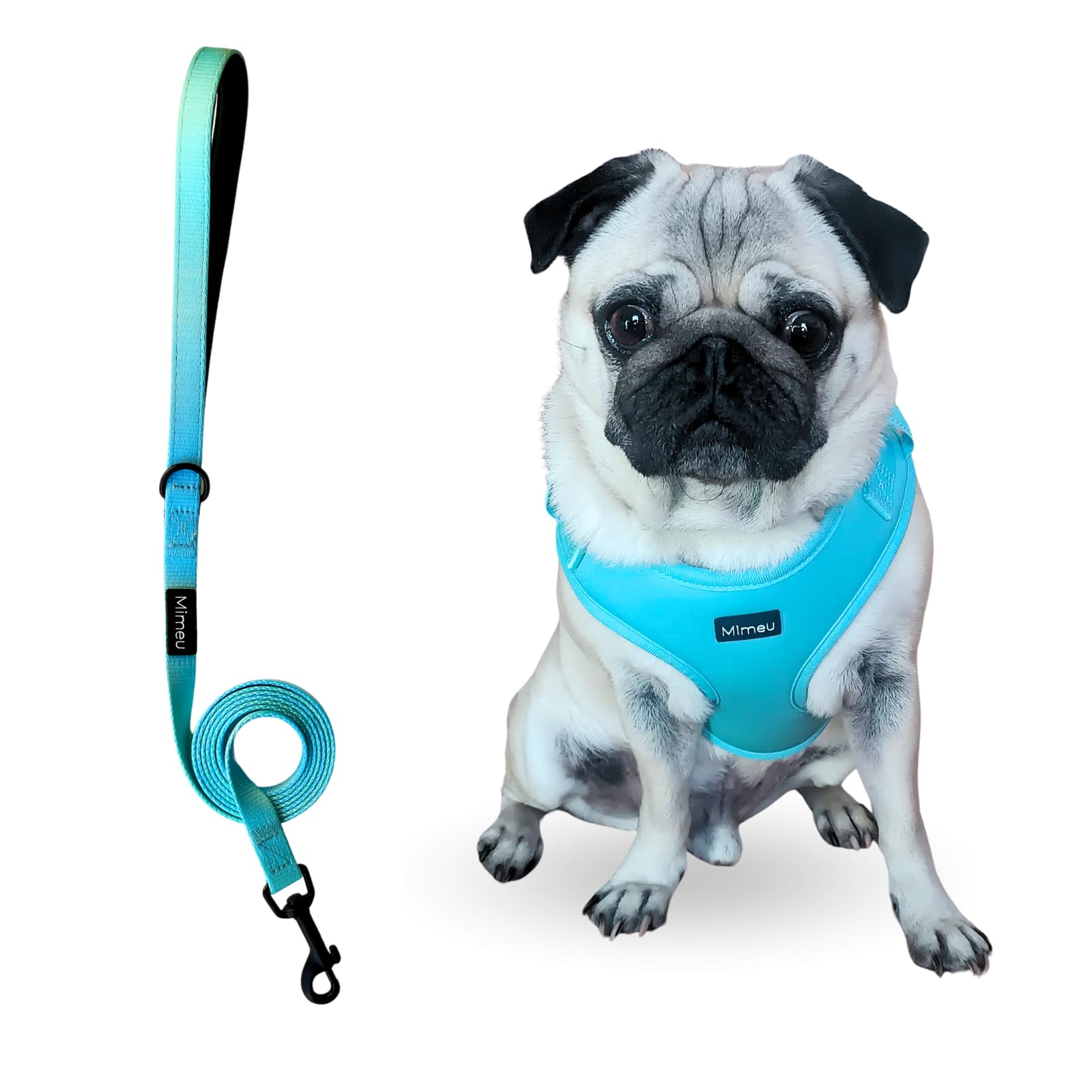 Arnés Perro Pequeño en Pack con Correa Acolchada a Conjunto de 1,5m. Arnés Perro Mediano y Pequeño de Tela y Malla Transpirable Fácil de Poner y Quitar y con Correa Perro a Juego. Arnés Perro Pug.