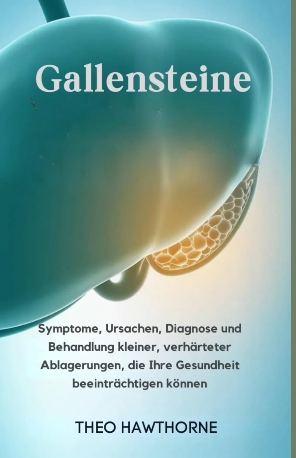 Gallensteine: Symptome, Ursachen, Diagnose und Behandlung kleiner, verhärteter Ablagerungen, die Ihre Gesundheit beeinträchtigen können Theo