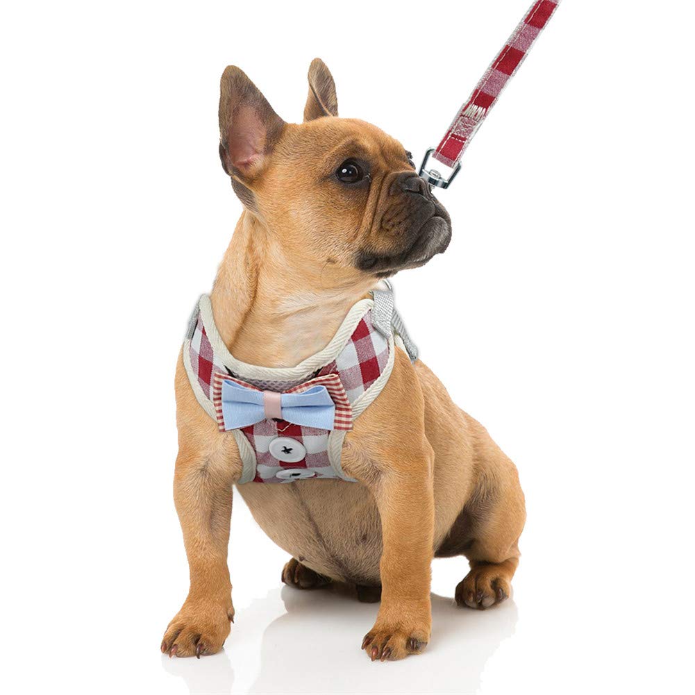 SOCHII Niedliches Katzengeschirr und Leine, Set aus Nylon-Netzgewebe, Haustiergeschirr, Leine, Katzenhalsband, Kleidung, Weste für kleine Katzen, Hunde, Kätzchen, Haustierbedarf, 3 m