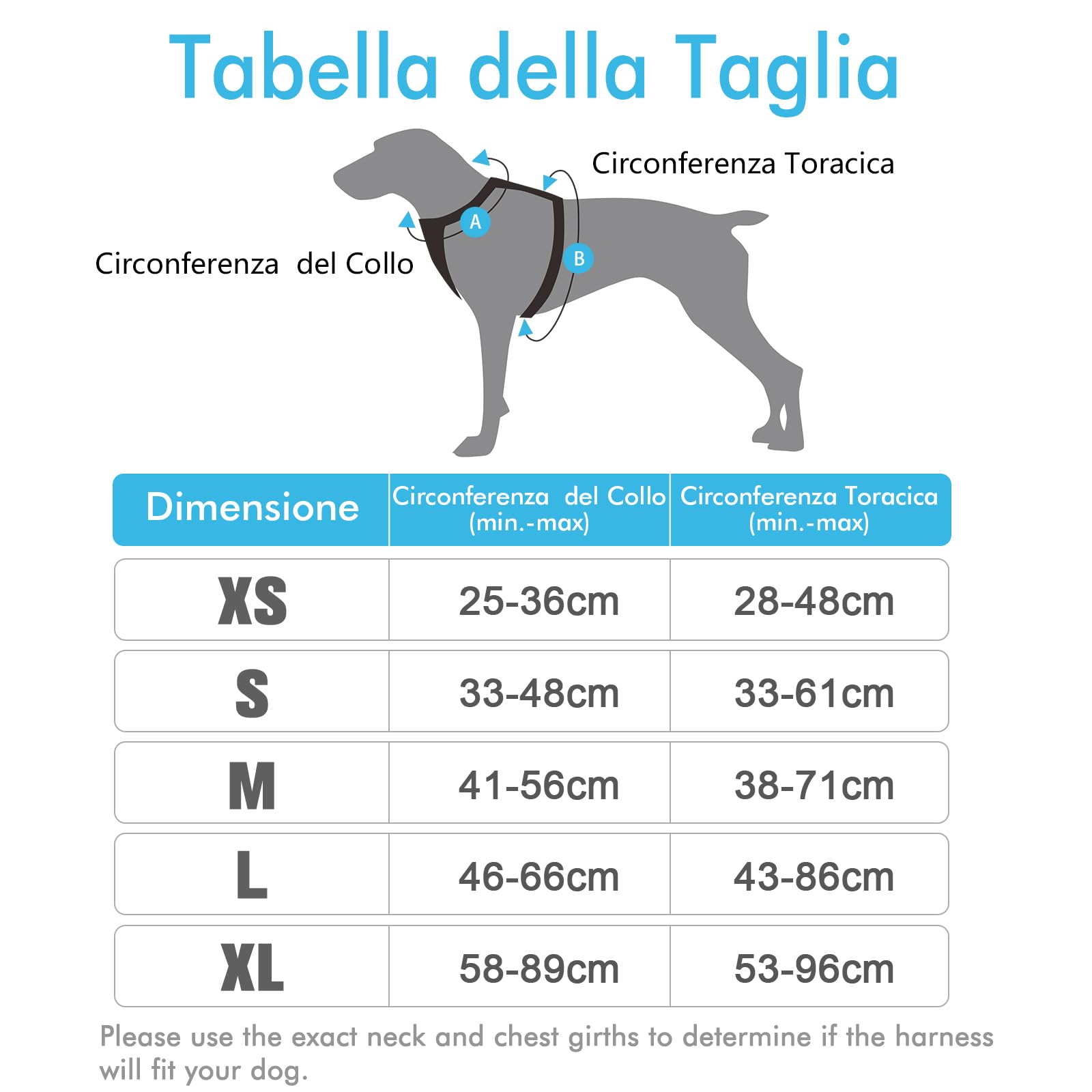 rabbitgoo Pettorina Cane Taglia Piccola, Pettorina Cane ad h Regolabile con 2 Ganci in Metallo, Pettorina per Cani Anti Tiro Riflettente, Imbracatura Cani Traspirante per Addestramento(S, Blu Chiaro)