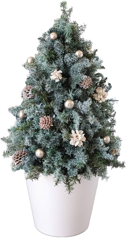 Amazon｜プリザーブドフラワーFiNE プリザーブドフラワー クリスマス