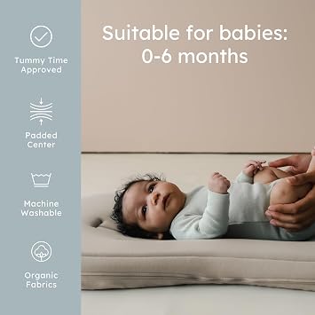 snuggle me Organic Newborn Baby Infant Lounger Pillow & Travel Bag - Birch