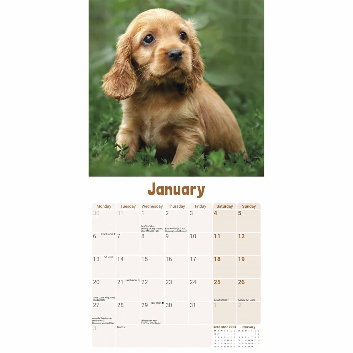 Amazon | イングリッシュコッカースパニエル子犬ミニ壁掛けカレンダー