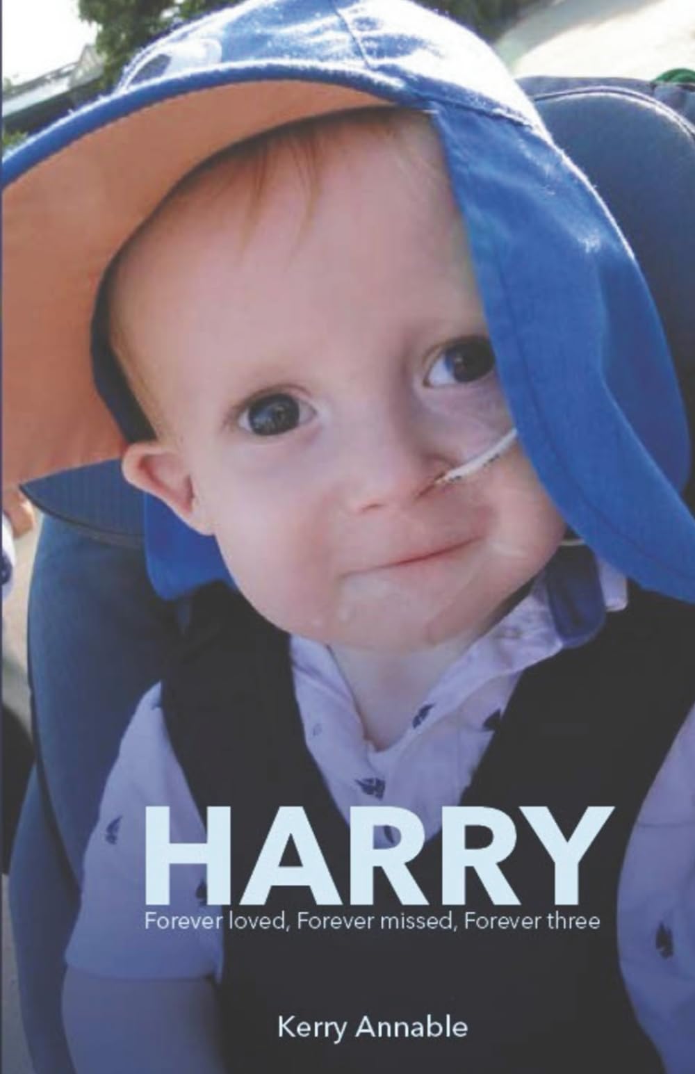 Harry, Forever loved, Forever missed, Forever three: A family’s journey through child loss, medical challenges, and unbreakable love