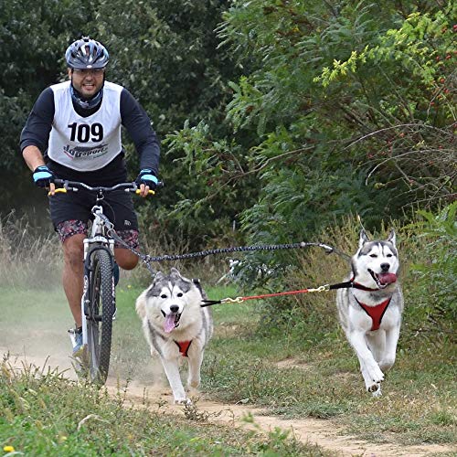 Northern Howl Power Race Hunde Zuggeschirr, verstellbar, Rücken frei, Bikejöring Dogscooting Schlitten Canicross, schwarz