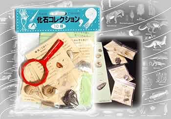 61L-WmB04JL._AC_UF350,