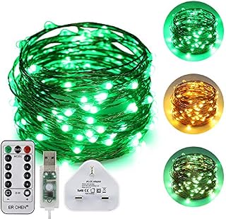 ErChen USB Dual-Color Led String Lights, 33FT 100 LEDs Color Changing Dimmable 8 Modes Copper Wire Fairy Lights with Remote Timer for Indoor Outdoor Christmas (Warm White, Green)