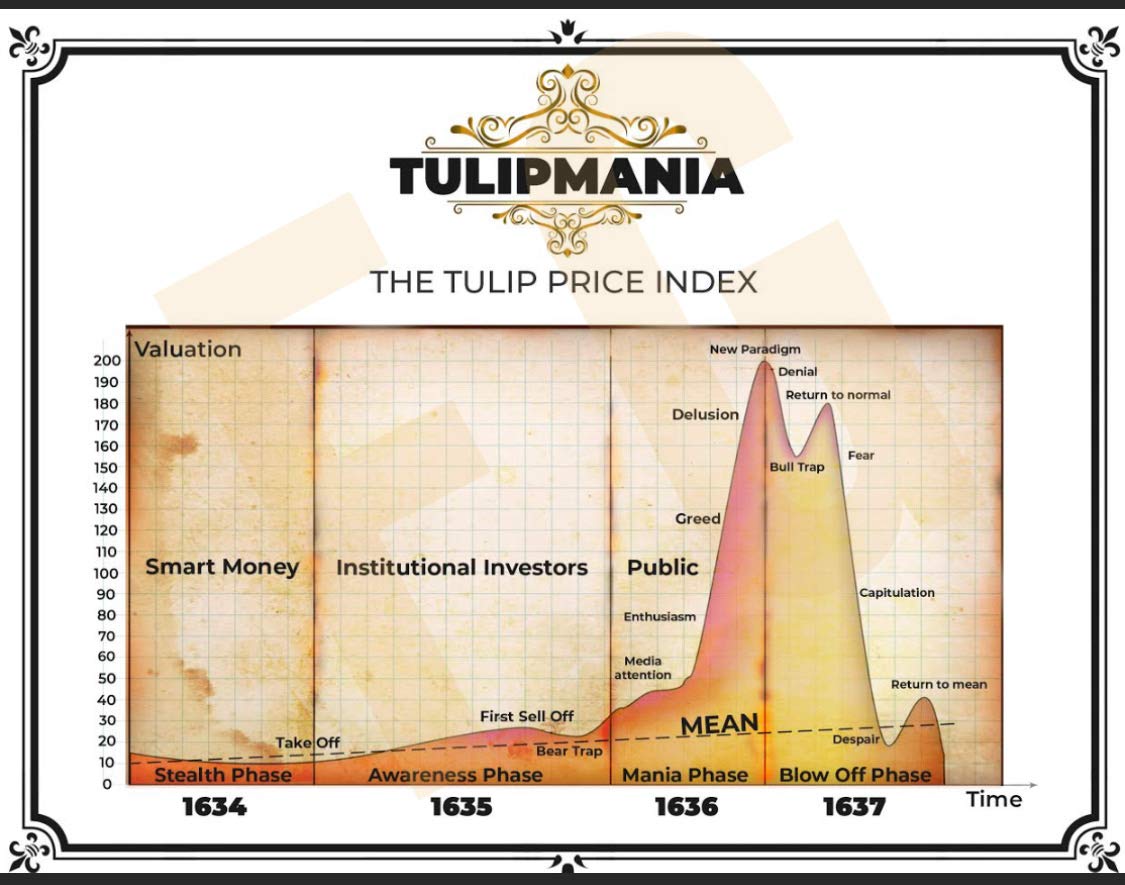 Amazon.com: Finance Geek Wall Street Wall Art 11x14 鬱金香V 股票,債券,氣泡,比特幣,貨幣,芳, 鬱金香: 居家與廚房