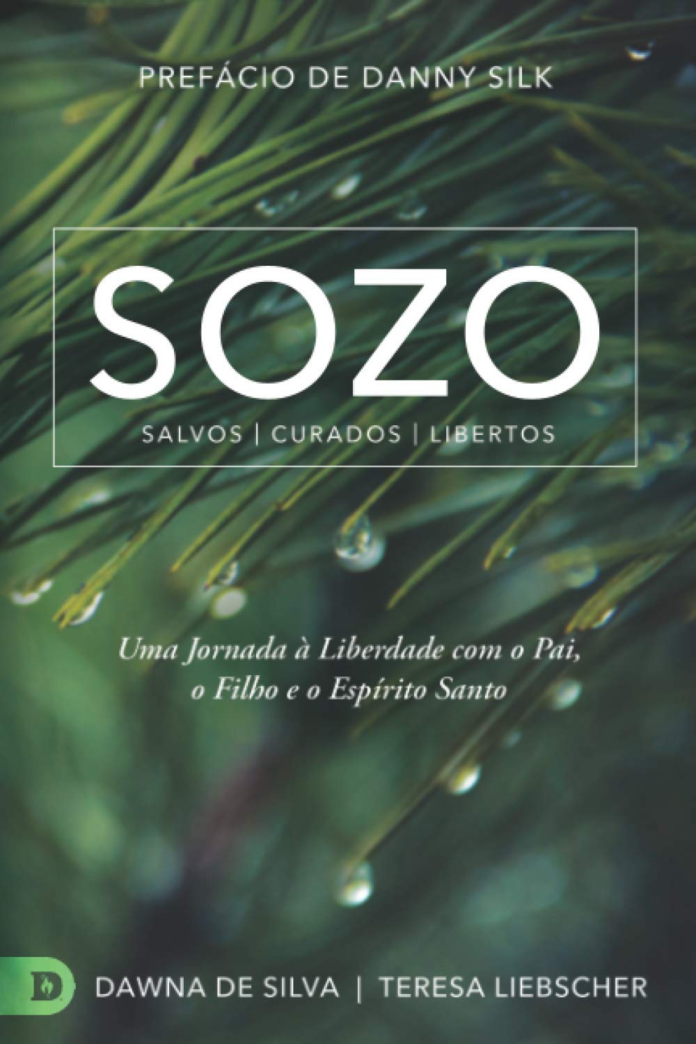 SOZO Salvos Curados Libertos: Uma Jornada à Liberdade com o Pai, o Filho e o Espírito Santo (Portuguese Edition)