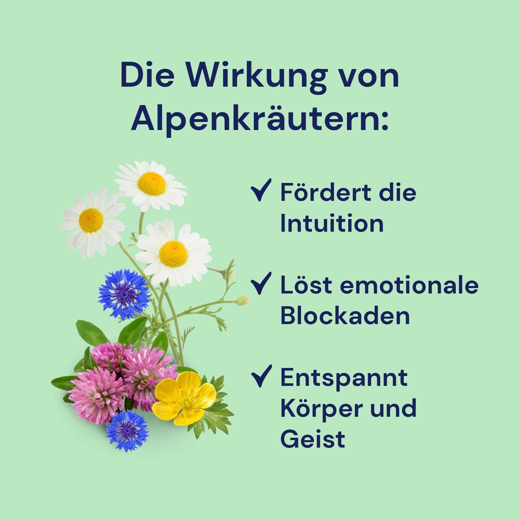 Spitzner Saunaaufguss - Alpenkräuter 190 ml