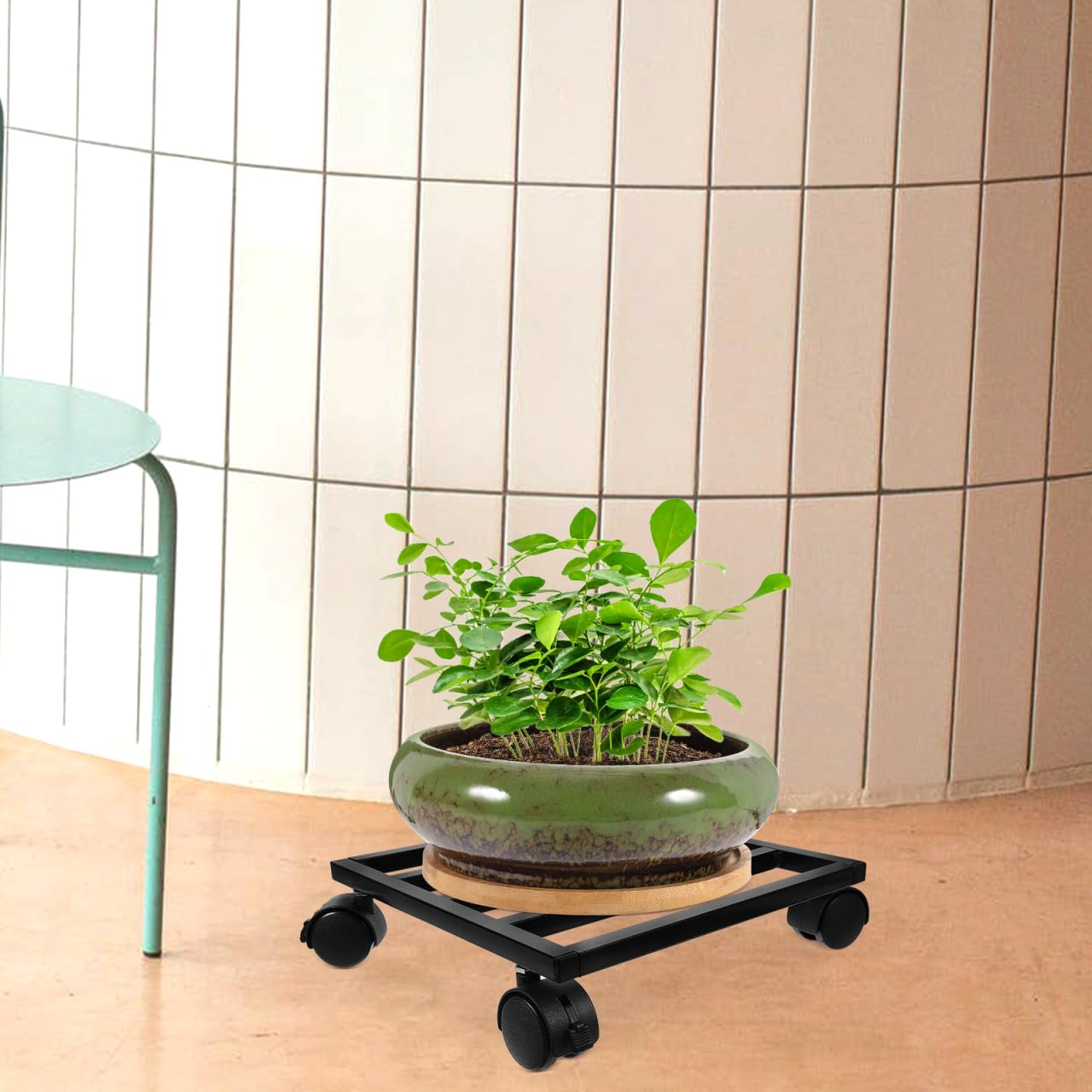 Kisangel Support De Plante avec Roulette 9.84In Base Roulante pour Pot De Fleur Robuste Mobilité Facile Intérieur Extérieur Jardin