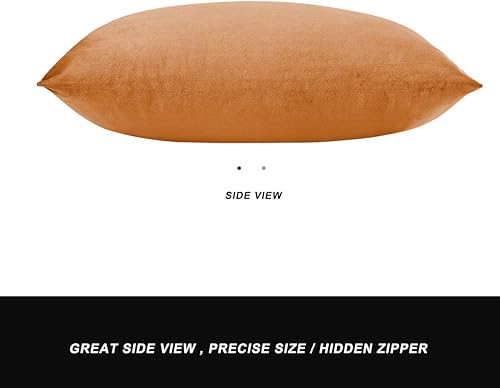 Vista 293 de GIGIZAZA - Juego de 2 fundas de almohada decorativas de 18 x 18 pulgadas, fundas de almohada cuadradas de terciopelo verde azulado pavo real